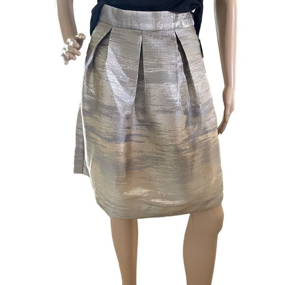 Simply Styled Ombré Metallic Skirt Women Sz SP Dance Party Skirt - Picture 1 of 14